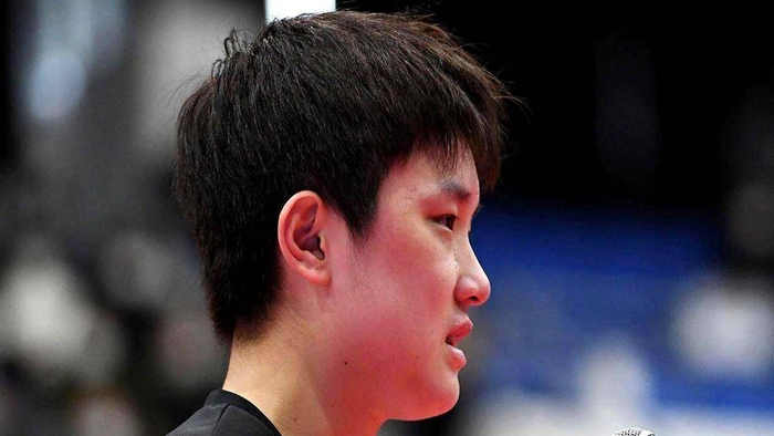 张本智和神社参拜引争议 家庭身份认同困境浮出