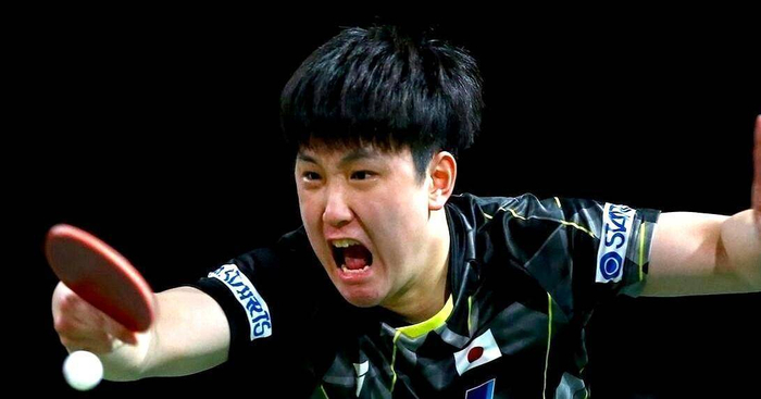 张本智和神社参拜引争议 家庭身份认同困境浮出